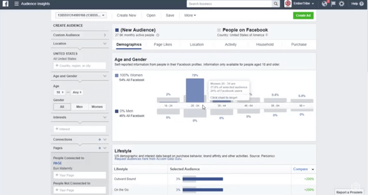 Facebook Ad Course   How to Target Your Audience with Facebook Audience Insights and Facebook Analytics (1)