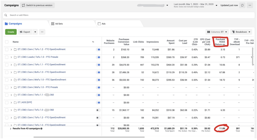 Facebook Ads Manager Results